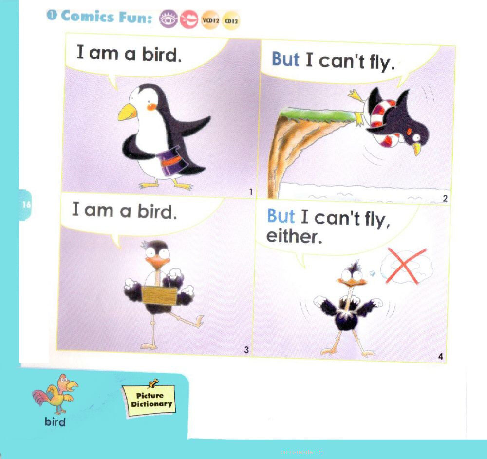 6 I am a Bird绘本故事第2页