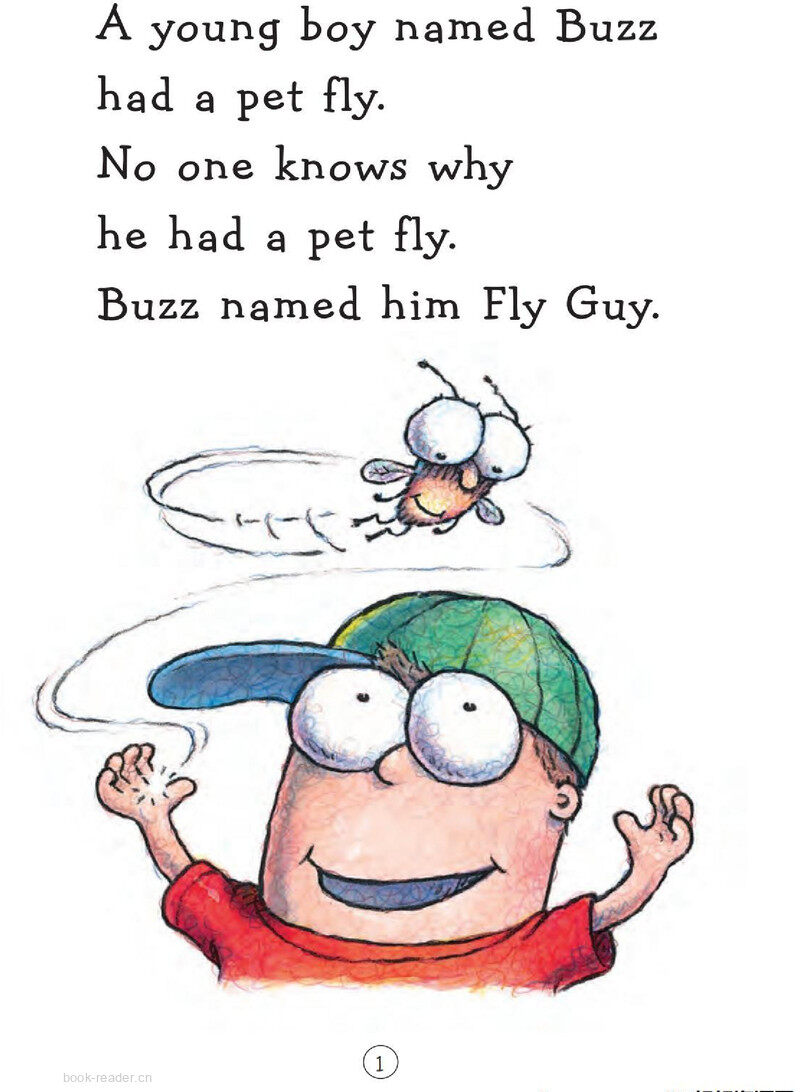 There Was An Old Lady Who Swallowed FLY GUY绘本故事第3页