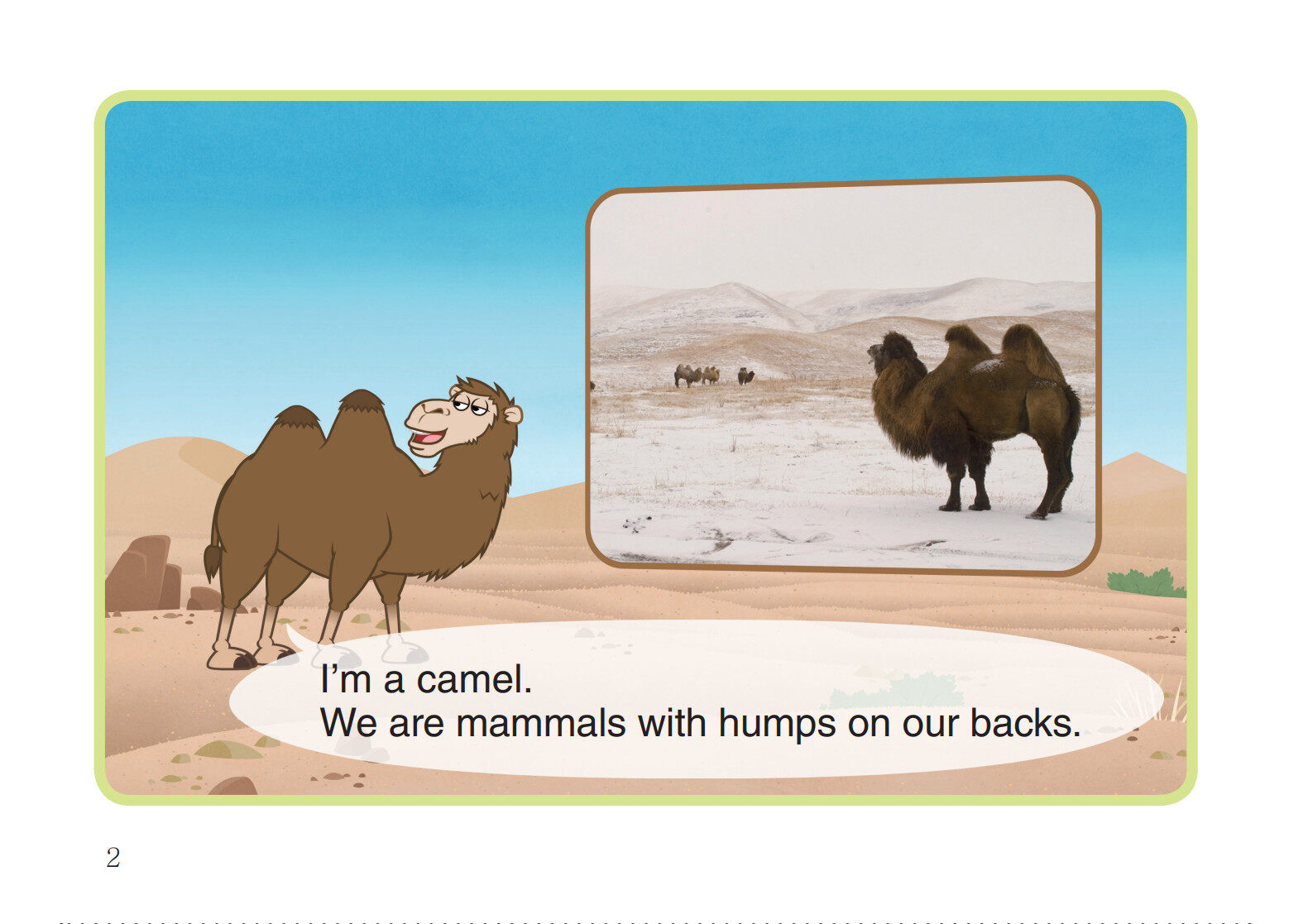Camel绘本故事第3页