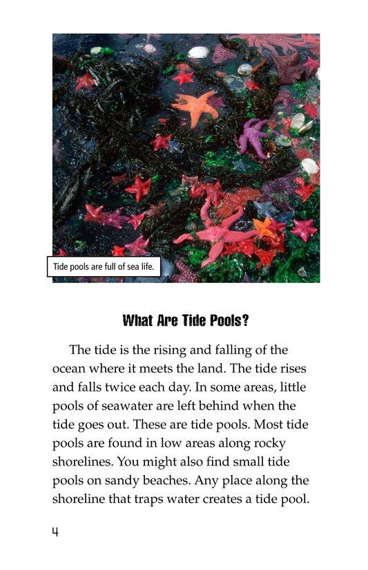 Exploring Tide Pools绘本故事第3页