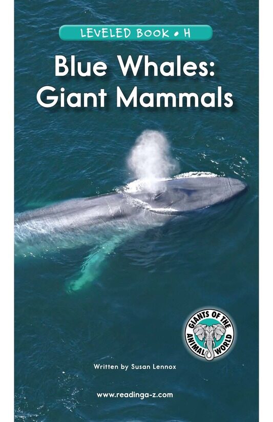 Blue Whales Giant Mammals绘本故事第2页