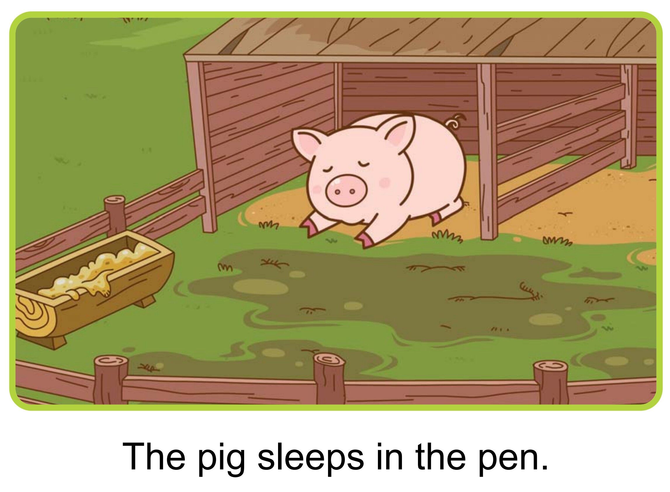 At Night绘本故事第4页