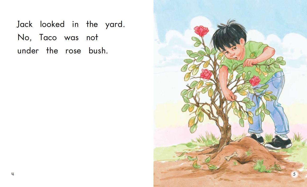 Looking for Taco绘本故事第4页