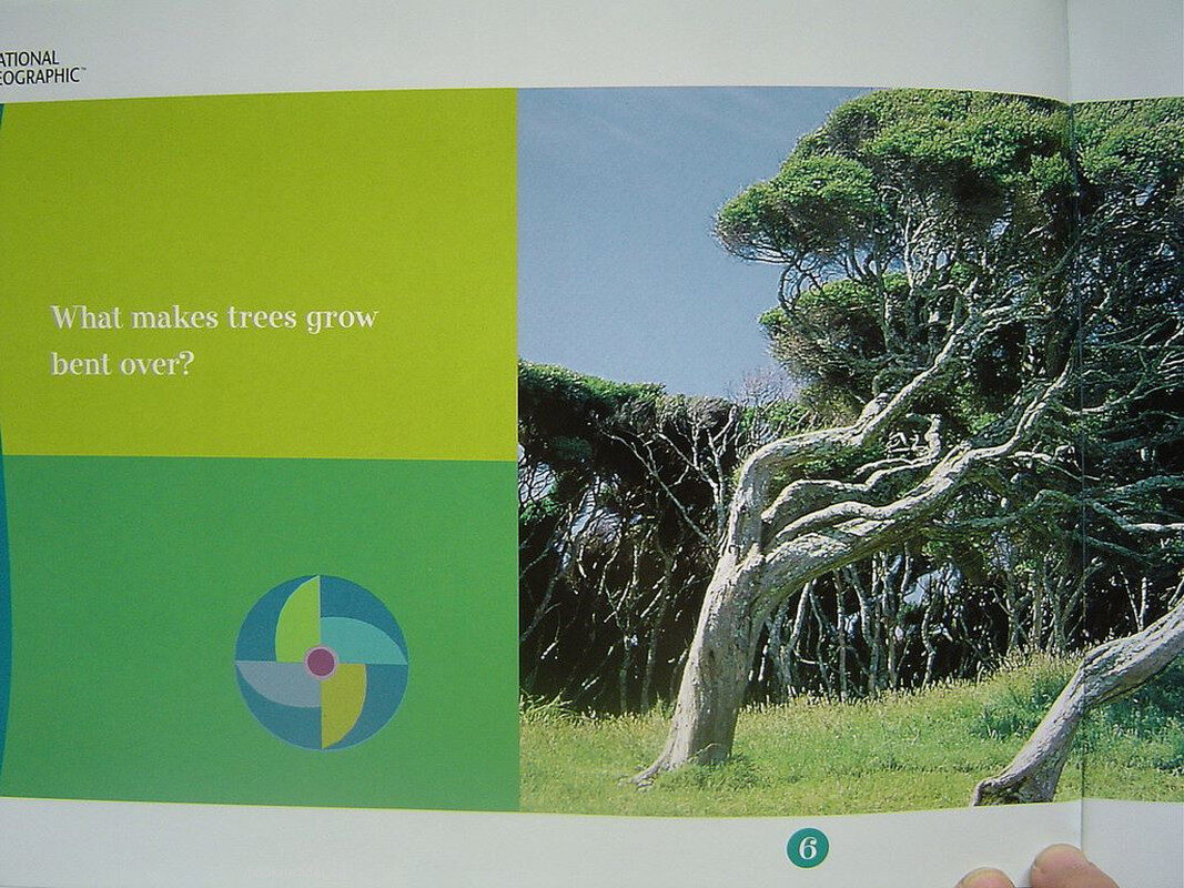 wind power绘本故事第5页