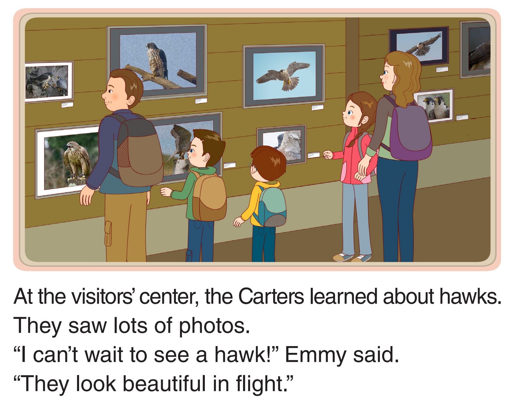 Watching Hawks绘本故事第3页