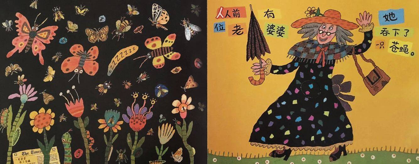 有个老婆婆吞了一只苍蝇绘本故事第3页