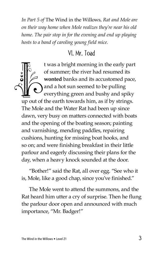 The Wind in the Willows (Part 6)绘本故事第3页