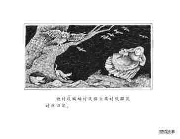 讨厌黑夜的席奶奶绘本故事第3页