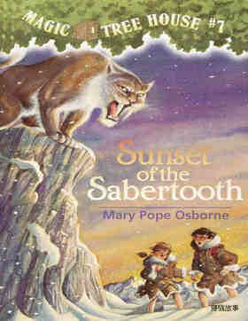07 The Sorcerer's Gift