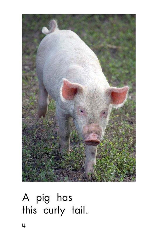 What Has This Tail绘本故事第4页