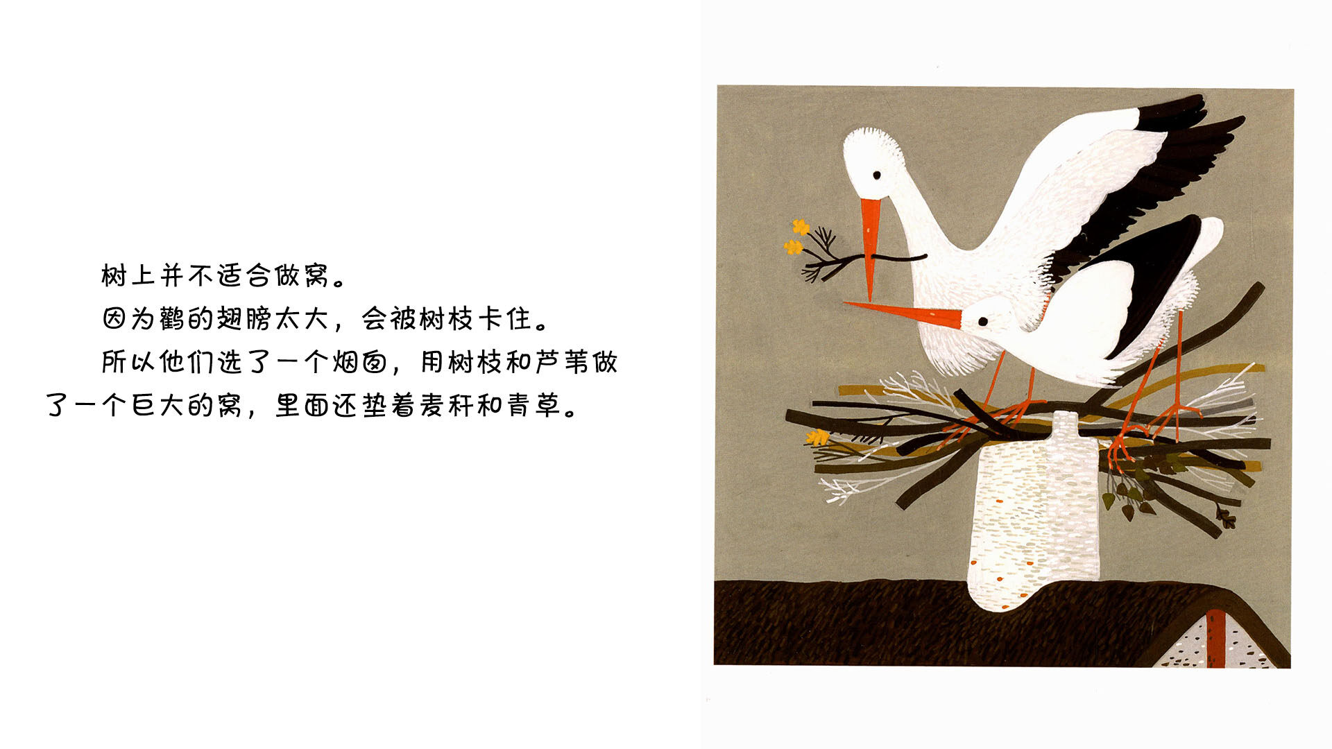 鹳绘本故事第5页