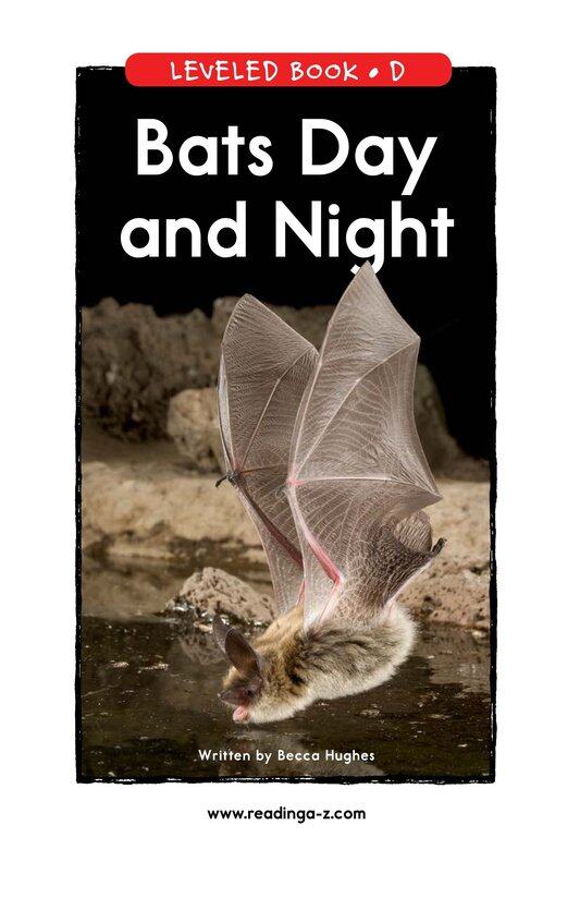 Bats Day and Night绘本故事第2页