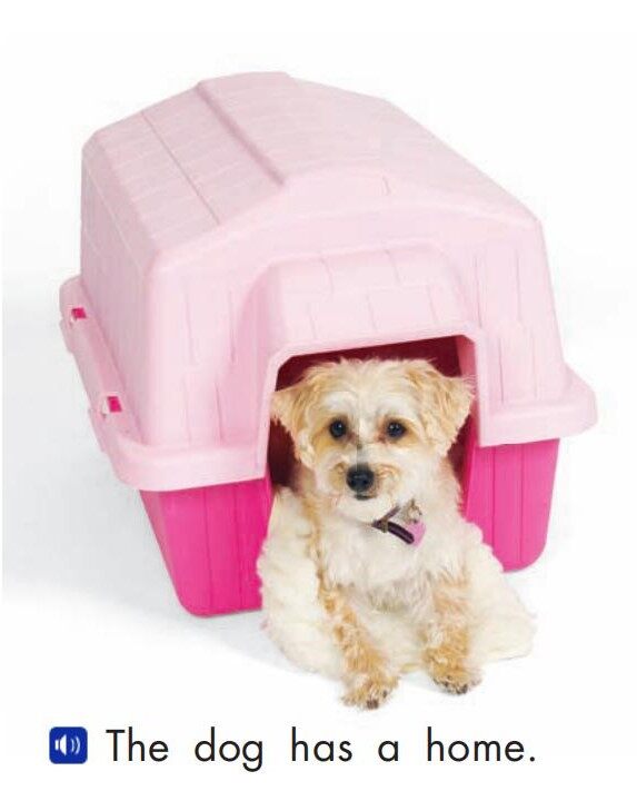 The dog绘本故事第5页