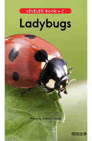 Ladybugs