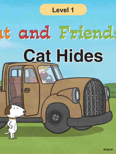 Cat Hides
