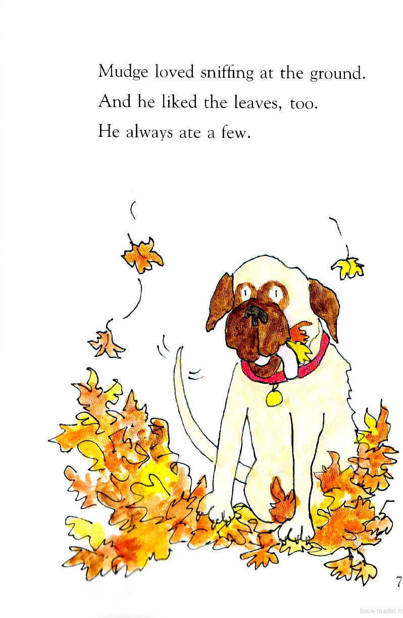 Henry and Mudge Under the Yellow Moon绘本故事第5页