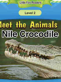 Nile Crocodile