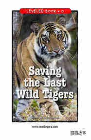Saving the Last Wild Tigers