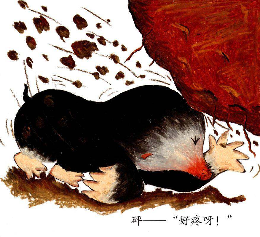 啪啦啪啦——砰绘本故事第3页