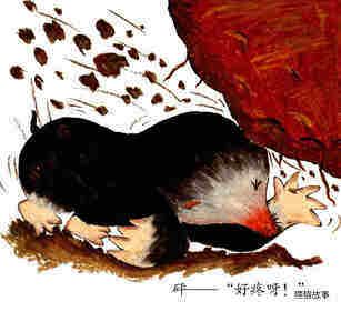 啪啦啪啦——砰绘本故事第3页