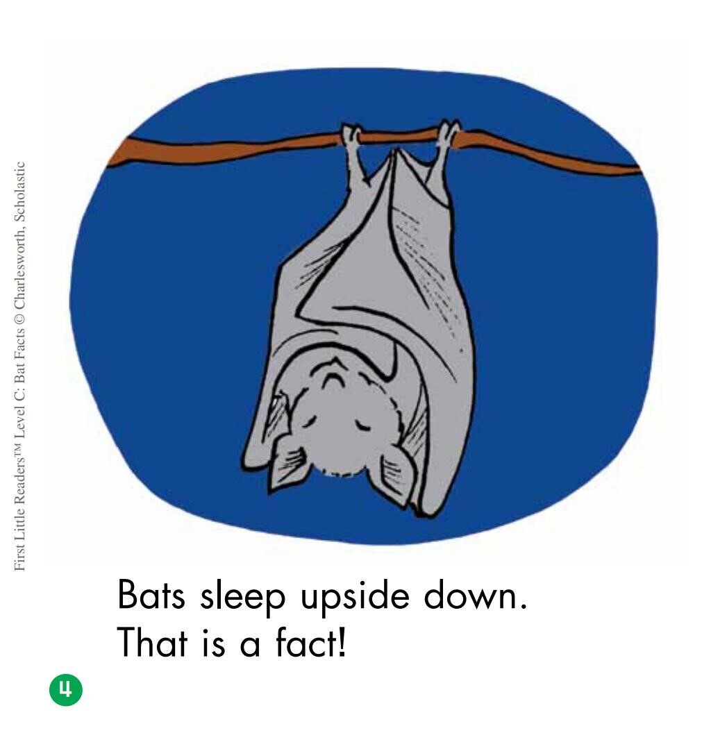 Bat Facts绘本故事第5页