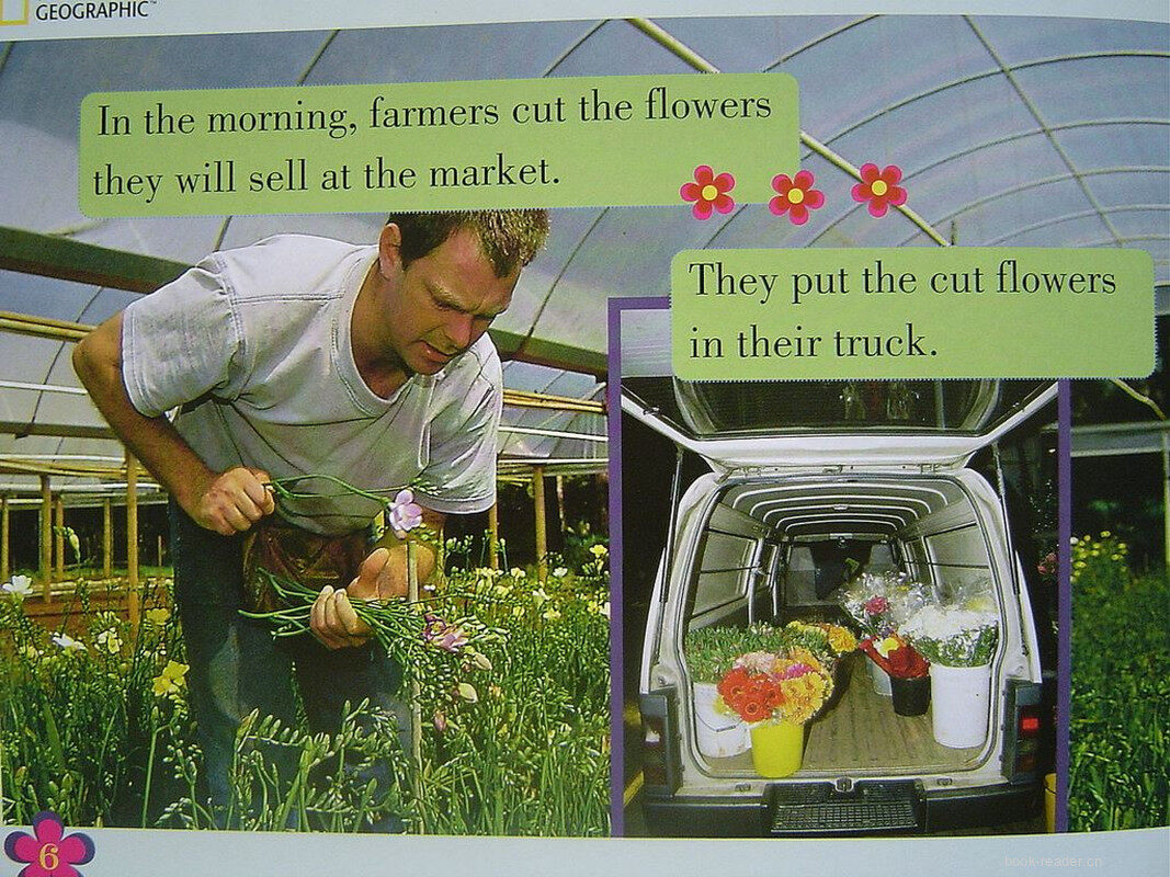 from field to florist绘本故事第5页