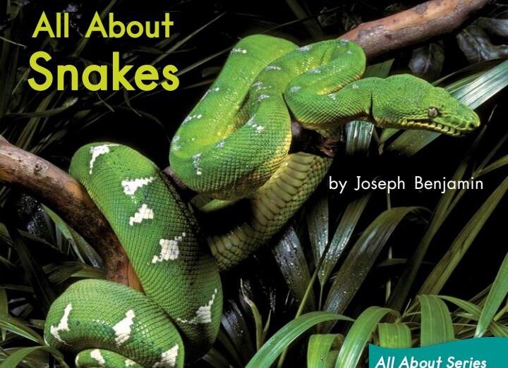 All About Snakes绘本故事第2页