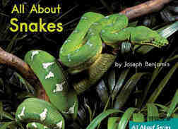 All About Snakes绘本故事第2页