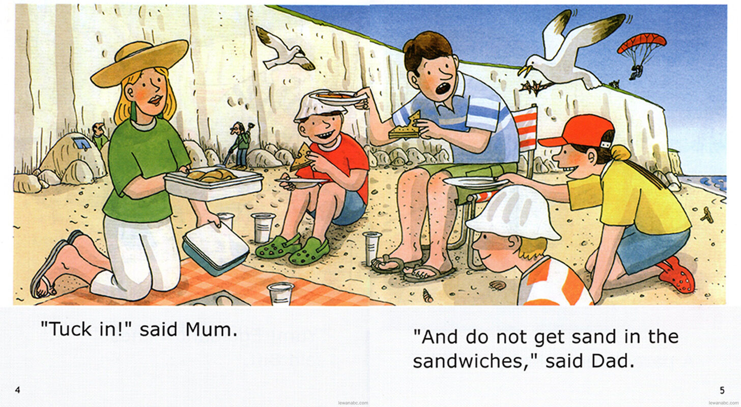 The Gull's Picnic绘本故事第5页