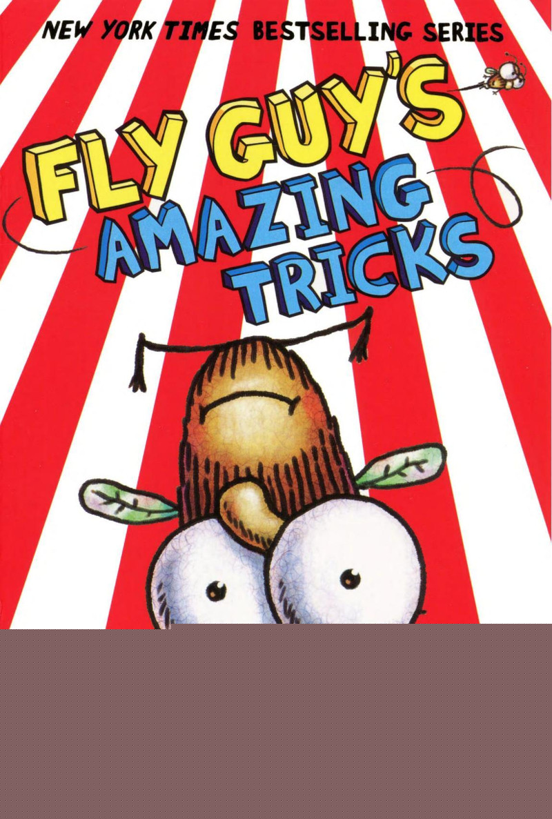 Fly Guy's Amazing Tricks绘本故事第2页