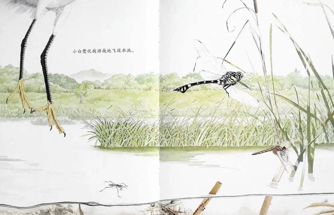 池上池下绘本故事第3页