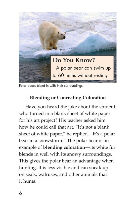 Camouflage绘本故事第5页