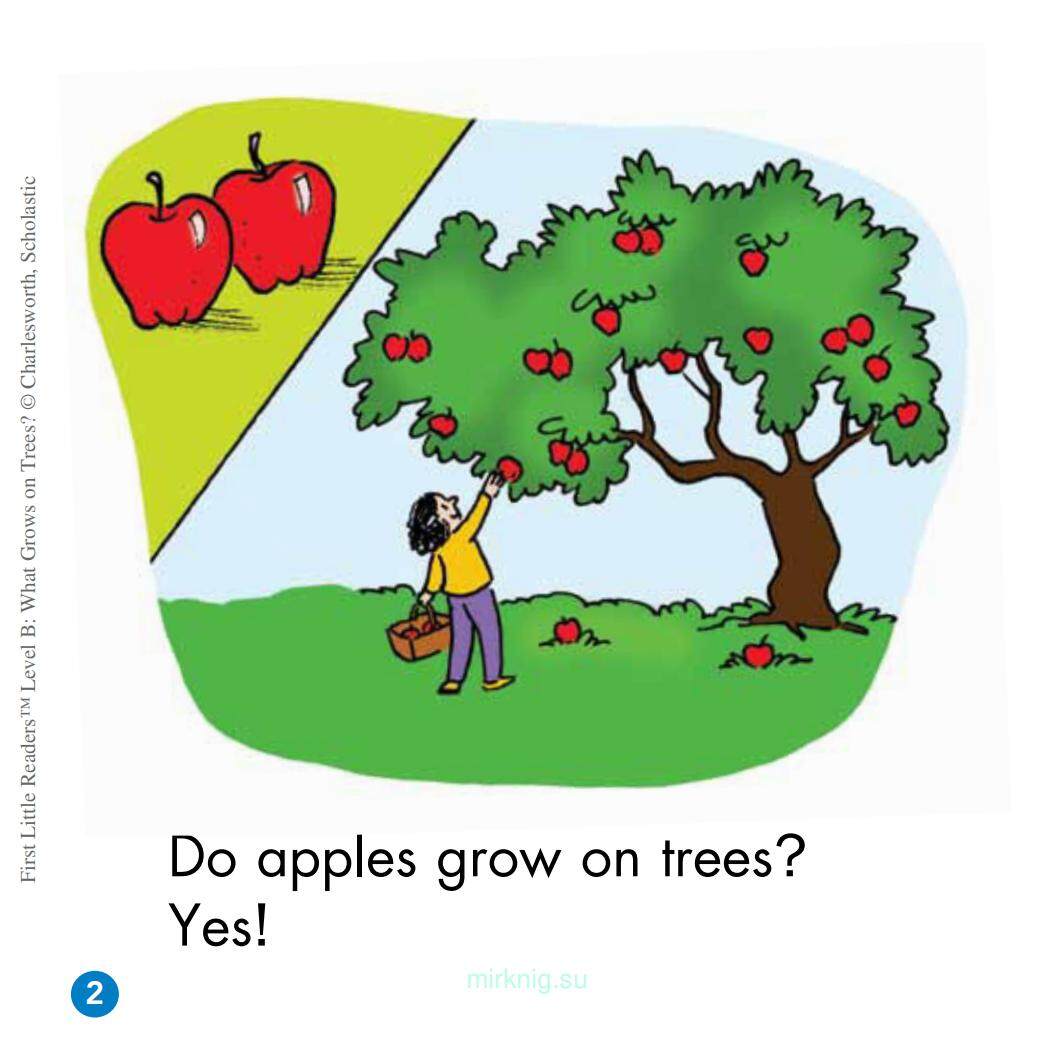 What Grows on Trees?绘本故事第3页