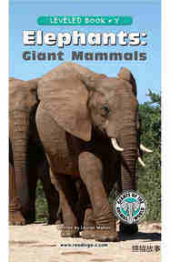 Elephants Giant Mammals