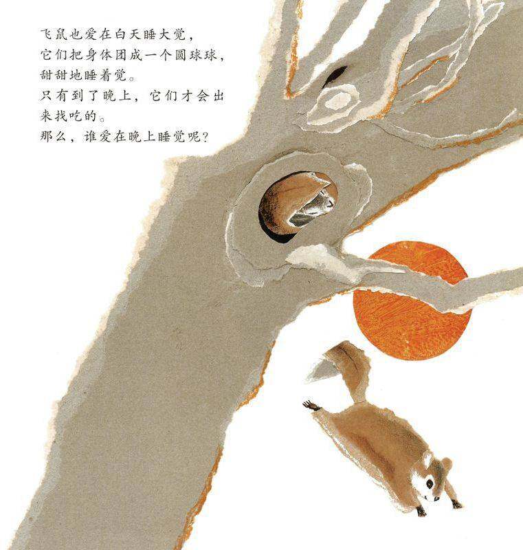小动物怎样睡大觉绘本故事第4页