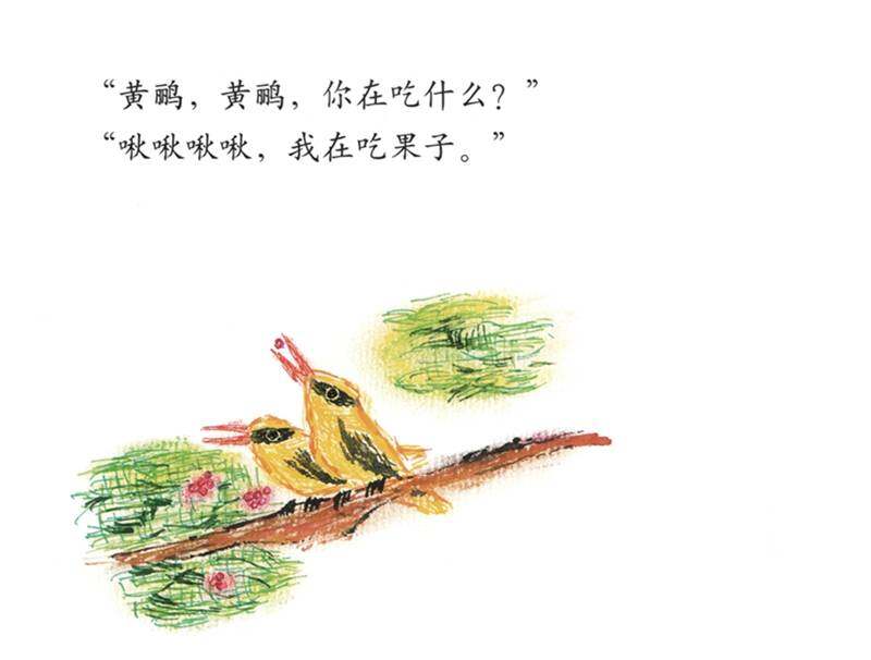 鸟儿鸟儿吃什么绘本故事第4页