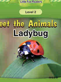 Ladybug