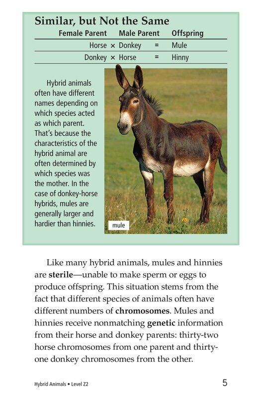 Hybrid Animals绘本故事第4页