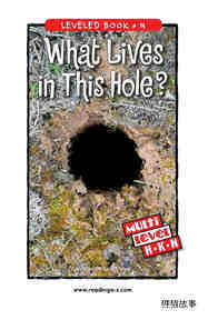 What Lives in This Hole