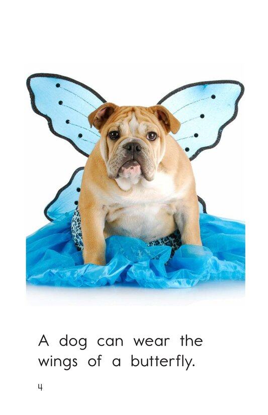 Animal Costumes绘本故事第4页