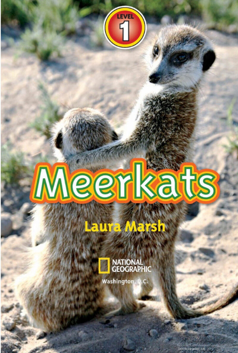 Meerkats绘本故事第2页