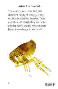 Insect Life Cycle绘本故事第5页