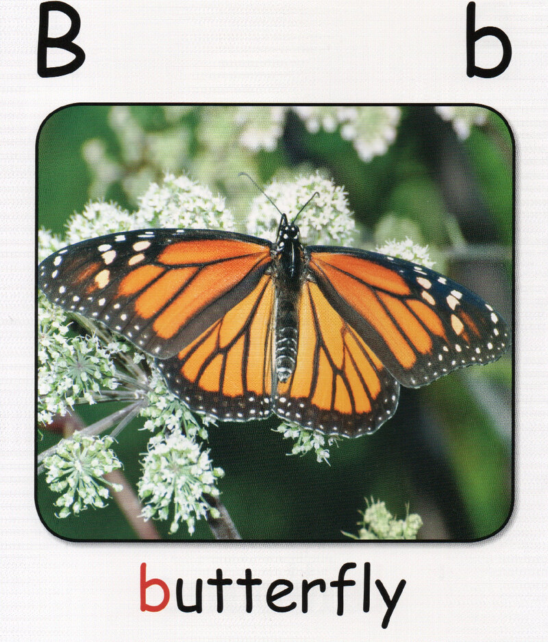 b绘本故事第4页