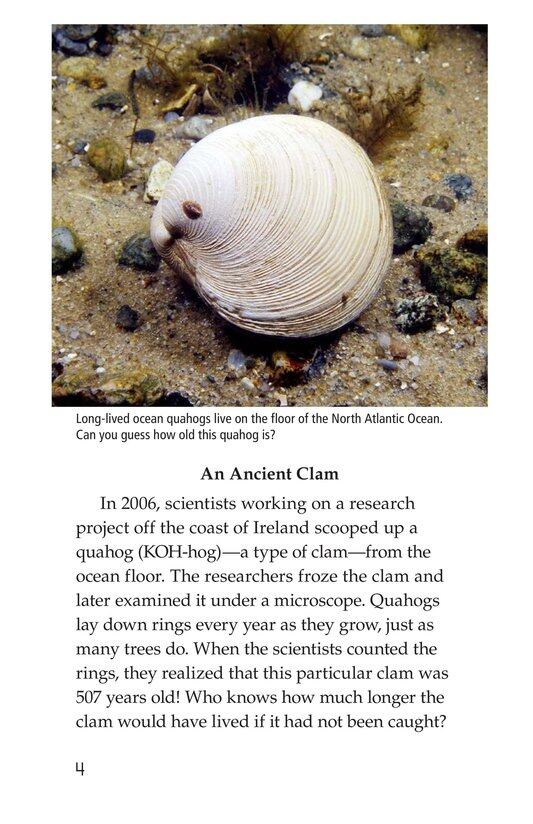 Life Spans绘本故事第3页