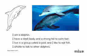 Ocean Animals绘本故事第5页