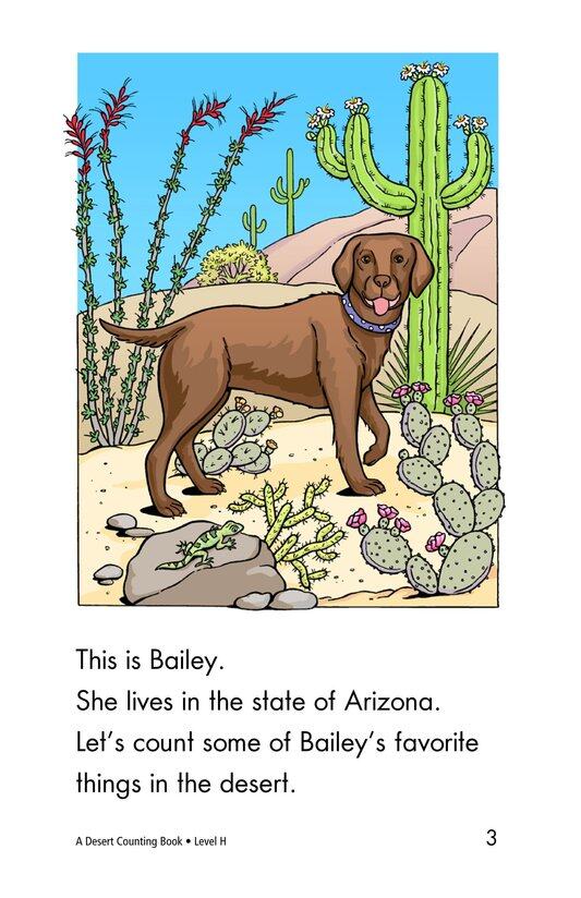 A Desert Counting Book绘本故事第3页