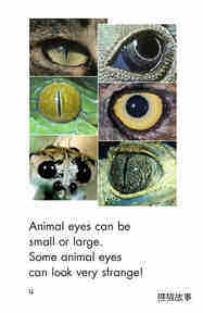 Animal Eyes绘本故事第4页