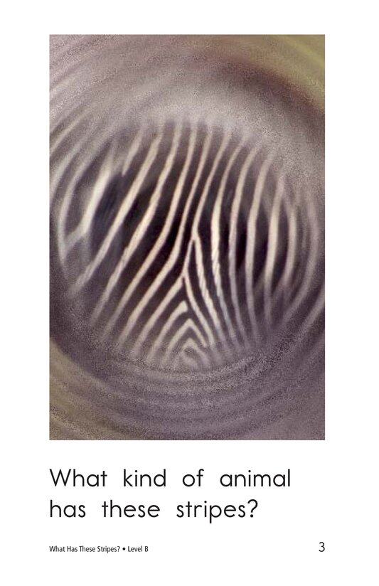 What Has These Stripes绘本故事第3页