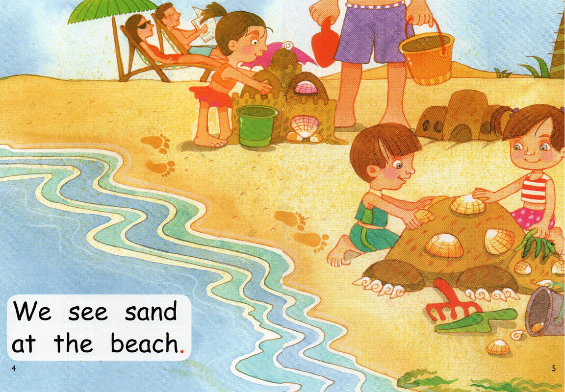 at the beach绘本故事第4页