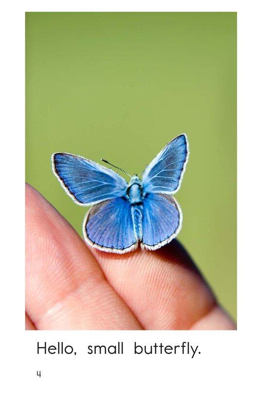 Hello,Butterfly绘本故事第4页